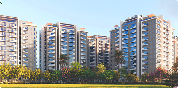 Diamond Excellency Img